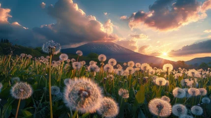 Foto op Canvas A serene dandelion field in a rural landscape © Chingiz