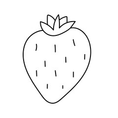 Strawberry. Vector illustration in doodle style