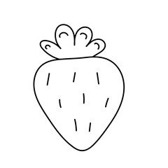 Strawberry. Vector illustration in doodle style