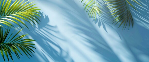 Fototapeta na wymiar Realistic Transparent Shadow From A Leaf, HD, Background Wallpaper, Desktop Wallpaper