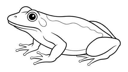 Captivating Frog Vector Illustrations for Every Project