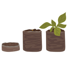 Soil in a tablet for growing seedlings.
