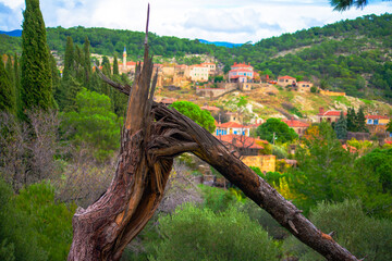 Fototapeta na wymiar Nature's Resilience: A broken tree stands resilient against the backdrop of a rural village, embodying the strength of the surrounding environment.