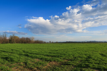 Fototapeta na wymiar Po Valley panorama landscape light sun sky blue field