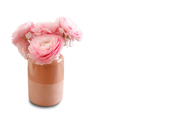 Bunch of pink flowers in vase on white background