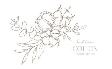Hand Drawn Cotton Flowers Line Art Illustration. Cotton Balls isolated on white. Hand drawn floral frame Cotton Plant Black and white illustration. Fine Line Cotton illustration. 