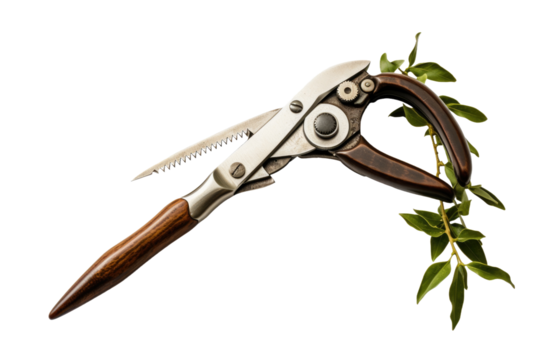 Rebirth of Art: Scissors Sprouting Life. On White or PNG Transparent Background..