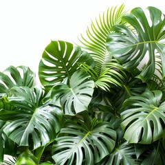 An eco-chic interior featuring tropical foliage and green leaves embodies sustainable living in a botanical garden setting.