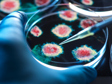 Virus research, conceptual image