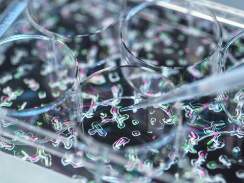 Protein research, conceptual image