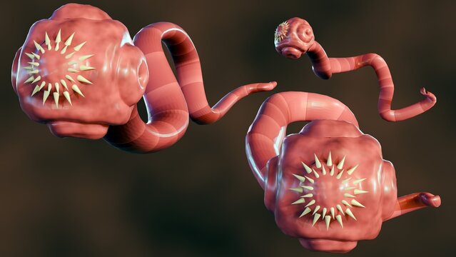 3D Rendering of isolated tapeworm. it is a flat, parasitic worm that lives in the intestines of an animal host