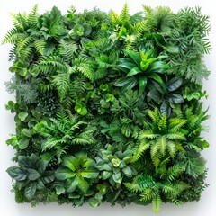 Urban jungle of decorative plants, vibrant green leaves of tropical foliage, isolated on white background, wellness space with biophilic interior design.