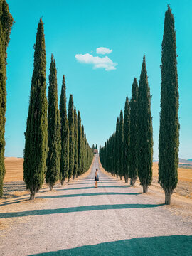 ragazza in piedi in centro al viale di pioppi in toscana
