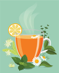 Cup of hot herbal tea, vector illustration