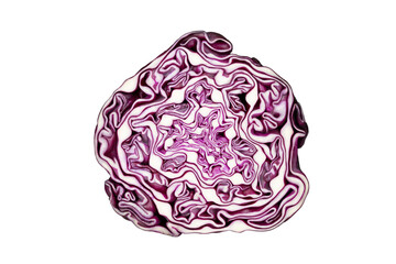 Fresh red cabbage. Half of red cabbage isolated on transparent background.