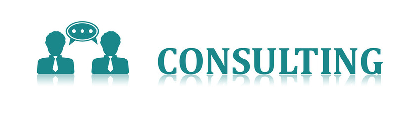 Concept of consulting