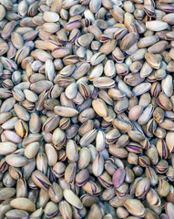 freshly roasted pistachios in shell