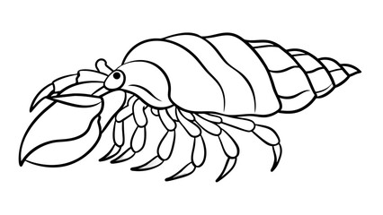Discover the Charm of Hermit Crab Vector Illustration Delight