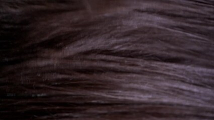 Brunette hair close-up in slow motion.