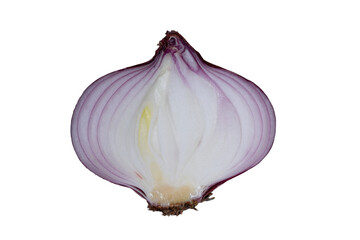 Fresh red onion. Half of onion isolated on transparent background