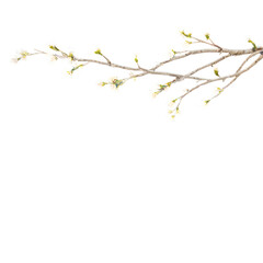 branch of a tree PNG.Ai