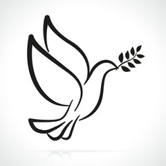 dove with olive branch isolated