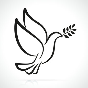 recommend clip art: dove with olive branch isolated