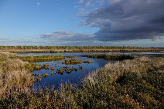 Naturschutzgebiet Anklamer Stadtbruch in der Abendsonne	