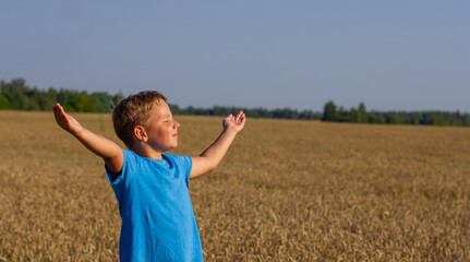Copy space. With his arms outstretched, the child stands in a wheat field and exposes his face to the sun's rays. A child is playing in a wheat field on a clear summer day. Summer concept, freedom.