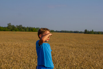 Naklejka na ściany i meble In a wheat field on a summer day, a child looks into the distance, covering his eyes with his hand. Shielding his eyes from the bright summer sun, the child looks at the wheat field.