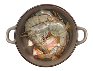 Fresh Mantis shrimp and Striped red mullet fish, surmullet (Mullus surmuletus)  in bowl isolated on white	