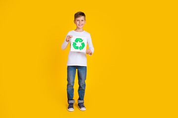 Full length photo of pretty funky kid dressed white shirt holding recycle sign card empty space...