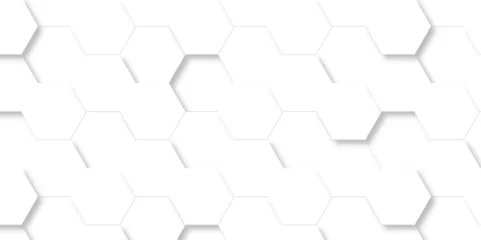 Foto op Plexiglas Abstract 3d background with hexagons pattern with hexagonal white and gray technology line paper background. Hexagonal vector grid tile and mosaic structure mess cell. white and gray hexagon. © MdLothfor
