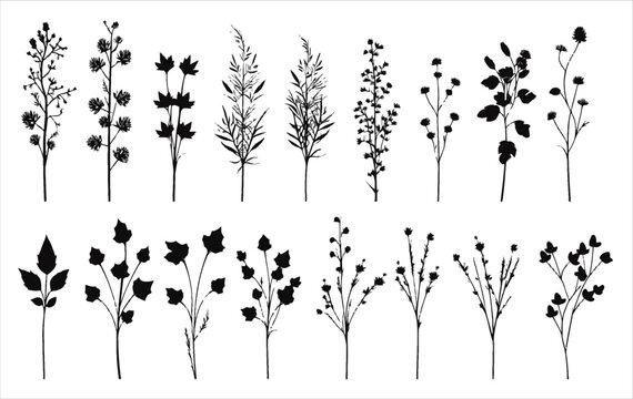 Vector set of flowers on a white background
