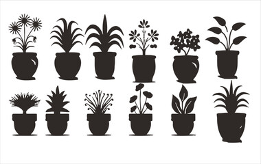 Vector set of flowers on a white background