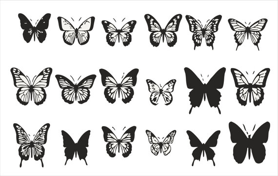 Vector set of butterflies on a white background