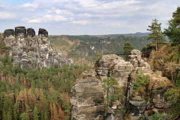 Fototapeta na wymiar Massive rock formations surrounded by lush trees. Bastei, Saxon Switzerland National Park