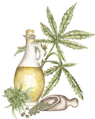 Marijuana and cannabis oil drop watercolor illustration, Green Marijuana Leaves and bootle, Cannabis leaf composition - 764625946