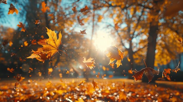 Golden autumn scene in a park with falling leaves