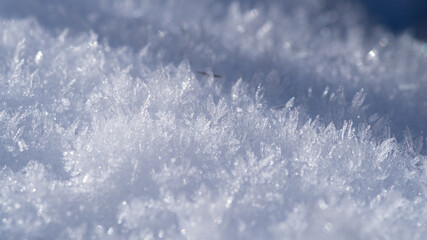 積雪をマクロレンズで撮影