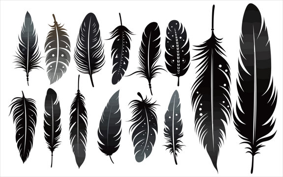 Hand drawn vector black and white feather art