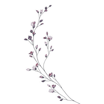 flower transparent background
