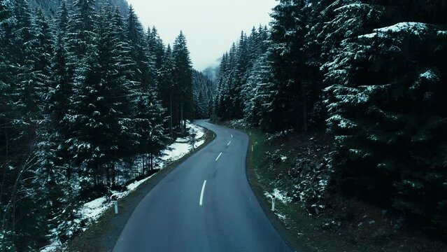 Static shot of winding empty road in the mountains. Snow covered pine trees and mountain peaks in distance. Snowflakes fall slowly in front of camera. Moody winter fairytale landscape