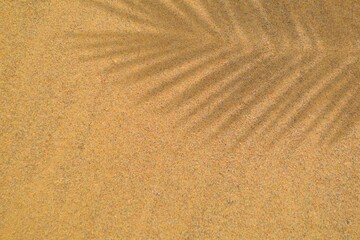 Fototapeta na wymiar Beach Sand background with shadow of tropical palm leaves. Coconut leaf shadow on brown sandy beach. Summer holiday concept 