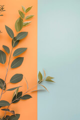 Background template of green leafage on pastel orange and blue table. Flat lay, minimalistic, color theory.