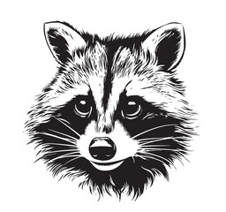 Cute hand drawing raccoon sketch. Vector monochrome illustration. © BigJoy