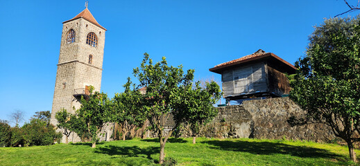 trabzon hagia sophia museum bell tower and garden