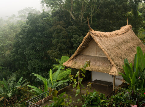 Building with traditional architecture and thatched roof surrounded by dense vegetation in Bali, Indonesia
