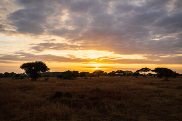 Golden Sunrise Over the Serengeti Plains, Western Corridor, Tanzania, Africa