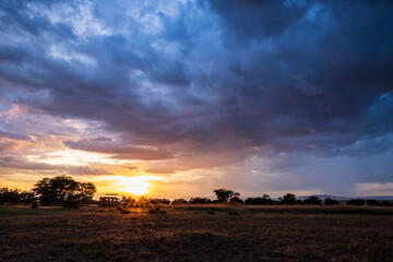Golden Horizon: A Serengeti Sunset Masterpiece, Western Corridor, Tanzania, Africa